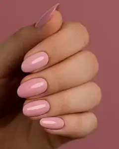 תוכן מקצועי, תרגול מעשי – בלי לצאת מהבית