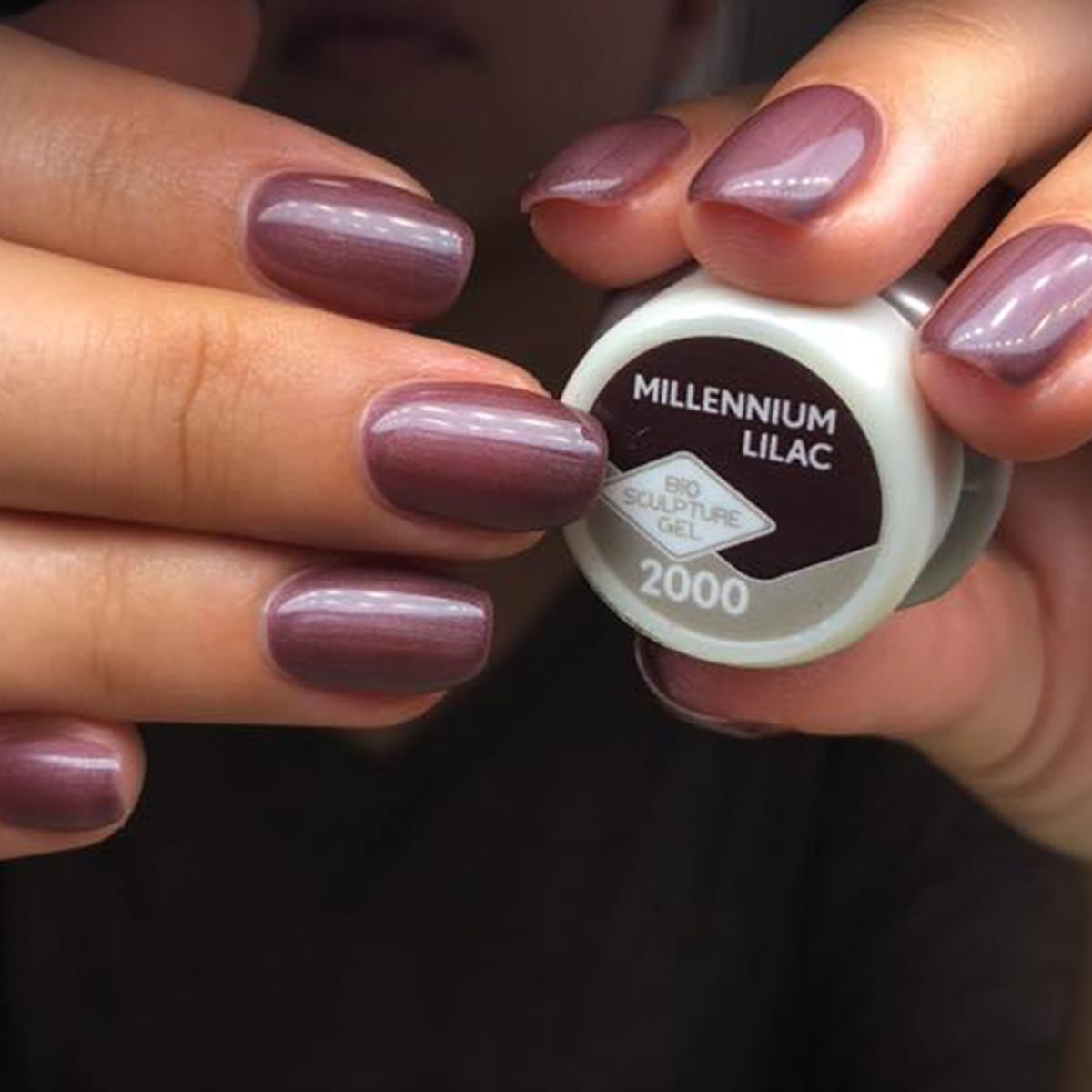 2000 Millennium Lilac - الصورة 2