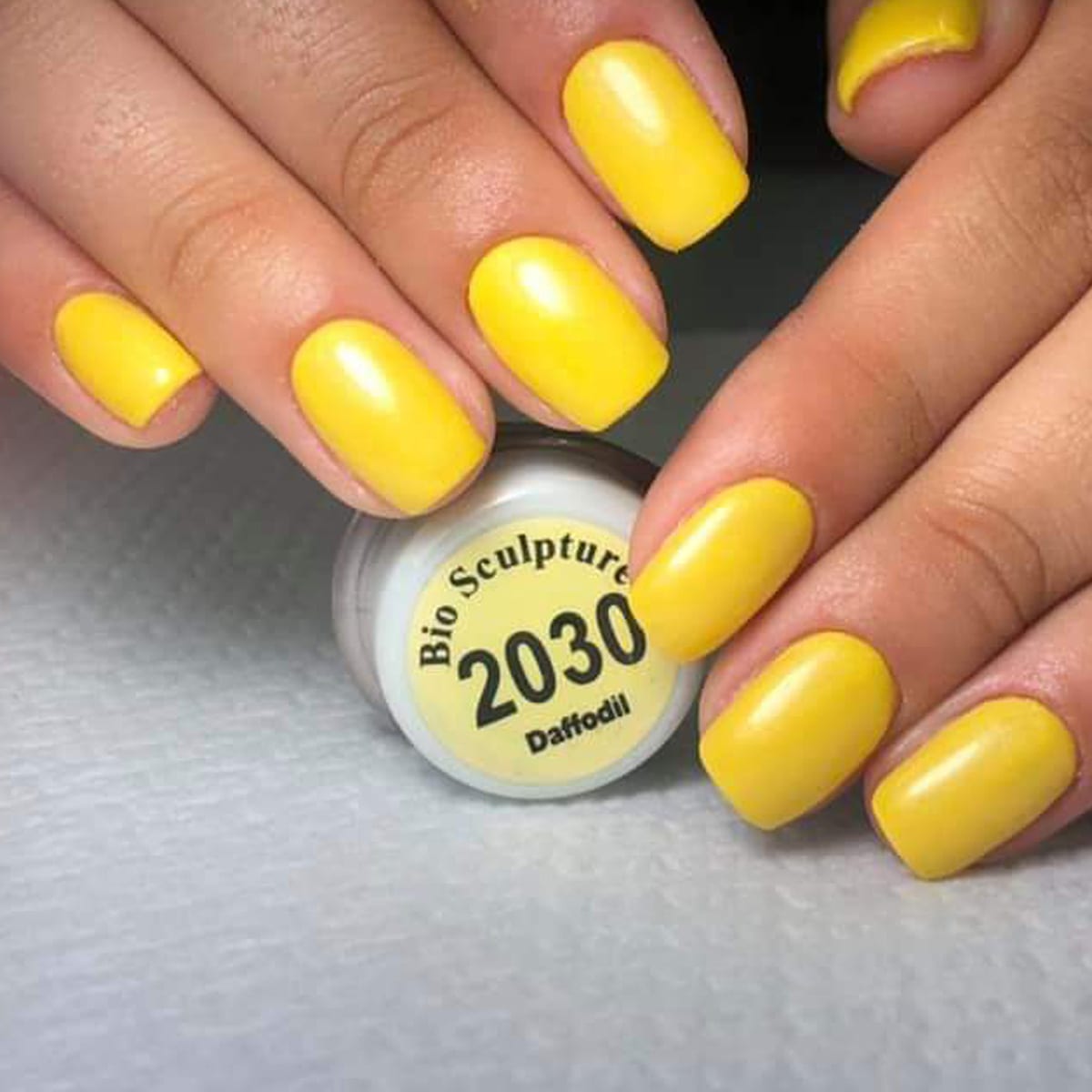 Daffodil 2030 - Изображение 2