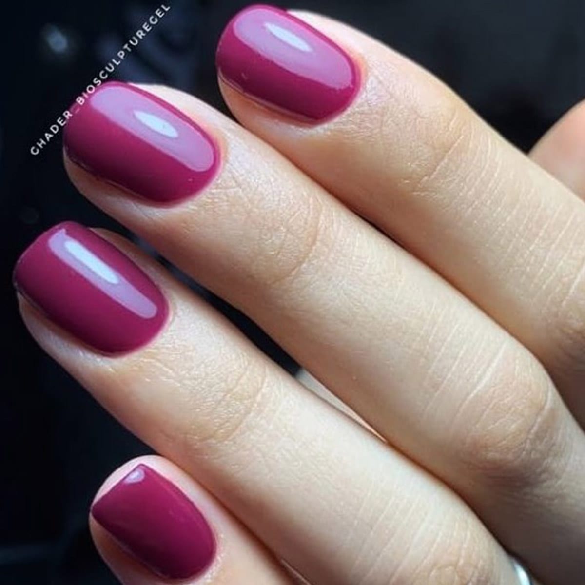 ג'ל ביו 86 Dark Plum - Image 2