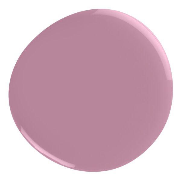 ג'ל ביו 330 Lilac Byway